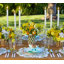 Classic Napkin-383076132