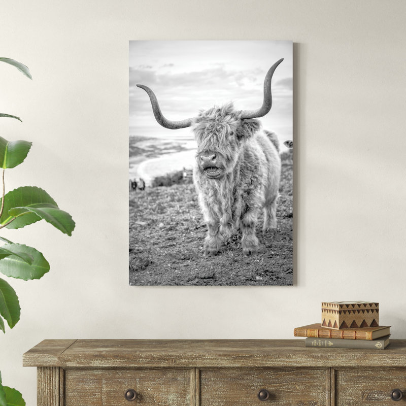 Highland Cows VI, H 36 po x l 24 po, Unframed, Non