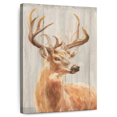 Cerf Brampt Woodland