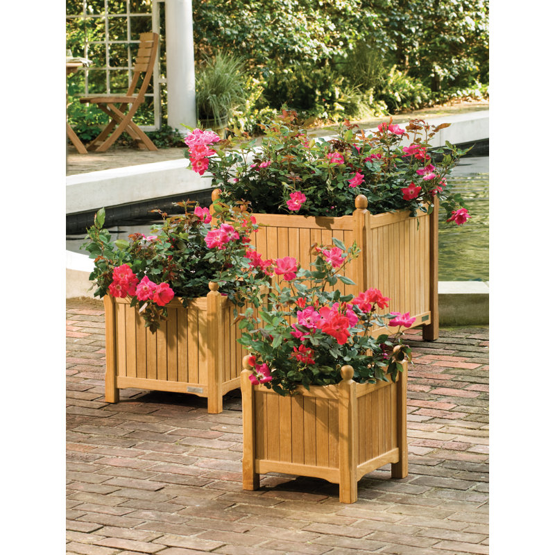 Ensemble de boîte à fleurs en bois 3 pièces Harpersfield