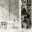 Kasama 29" x 58" Polished Porcelain Marble Look Floor and Wall Tile (11.78 Sq. Ft. / Case)