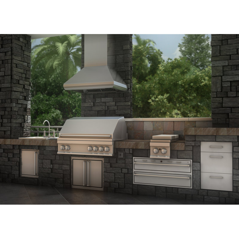 48" Professional 700 CFM Ducted Wall Mount Range Hood in Stainless Steel, 48"