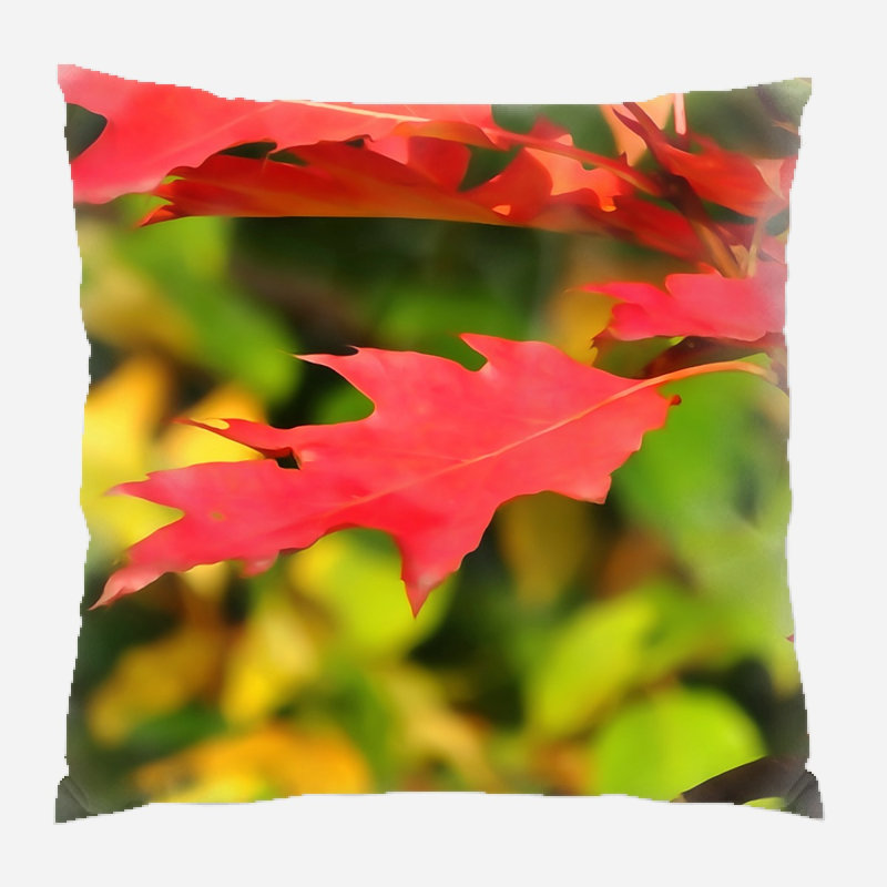 Housse et insert de coussin d'extérieur carré Whitmire Autumn, Microsuède, Intérieur