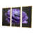 Gold Floater Framed Canvas