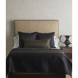 Link Polyester 3 Piece Throw & Pillow Cover & Insert Set