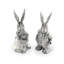 Garden Friends Salt And Pepper Shaker Set