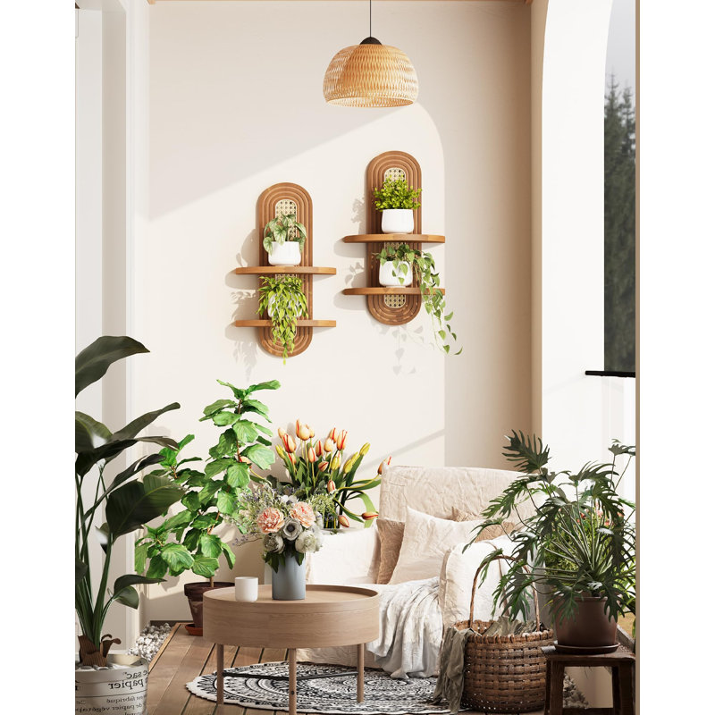 Boho Rattan Floating Shelves Wall Mounted Plant Display Set of 2, 2 Tier-walnut（2-pack)