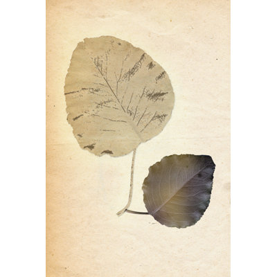 Burnt Leaf - Wrapped Canvas Print