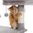 Indoor Cat Tree With Hammock, 2 Perches, Scratching Posts & Large Condo