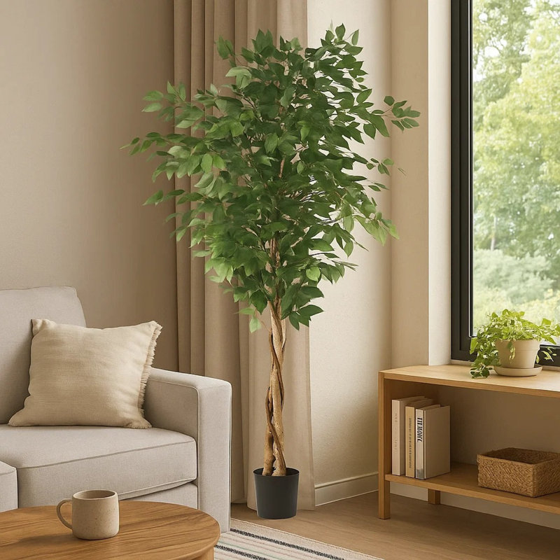 Ficus artificiel Deso, feuilles vertes avec tronc torsadé, 71 pouces