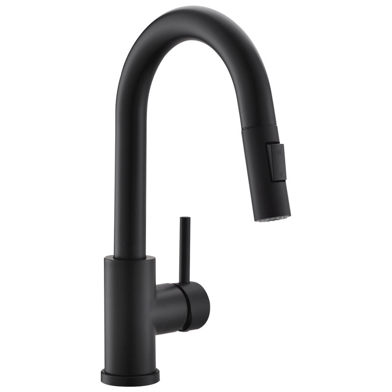 FLG Kitchen Faucet, Black