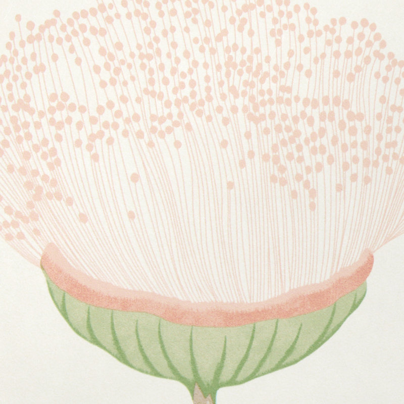 Celinda Floral Non-Woven Wallpaper Roll, Blush