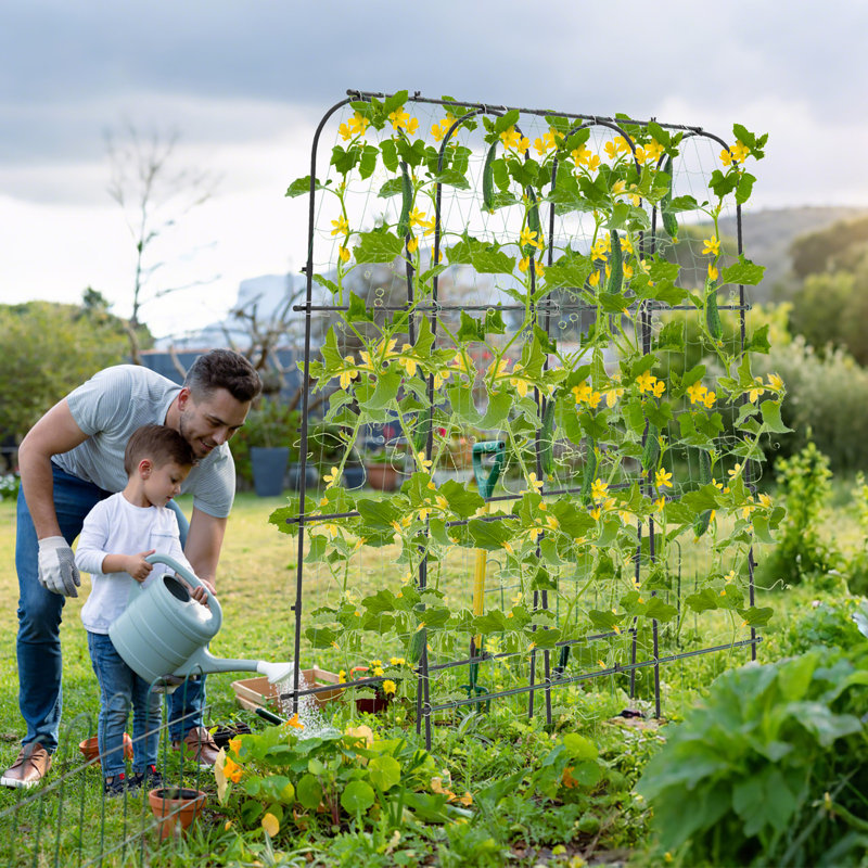  Treillis de jardin en U de 71 po x 71 po avec piquets de sol tranchants résistants aux déchirures