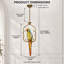 Luminaire suspendu en verre Artistic Parrot