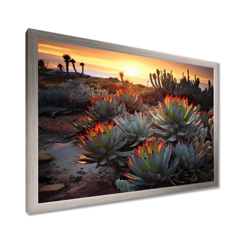 «Succulent Desert Cactus Field Burning Sunset III» - Art mural succulent, Cadre simple argenté, H 12 po x l 20 po x P 1 po