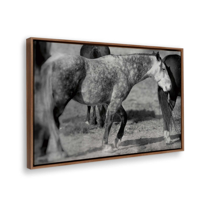 «Painted Pony» par Nathan Larson, reproduction d'art, 36 W x 24 H, Brown, Framed Canvas