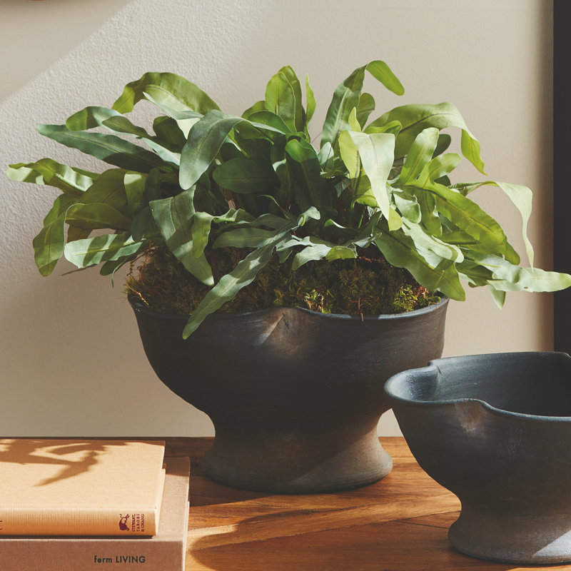 Kaloa Decorative Bowl, 6.5" H x 11.25" W x 11.25" D