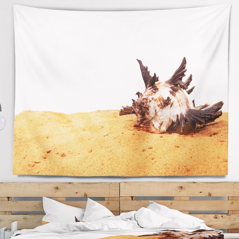 Tapisserie de coquillage sur fond de sable, H 50 po x l 60 po