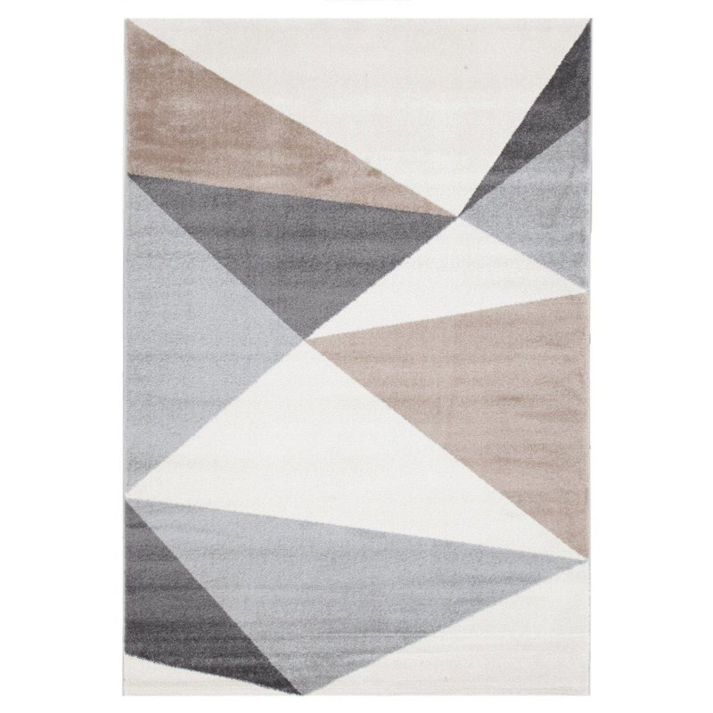 Decoste Geometric Area Rug, Rectangle 160 x 230cm