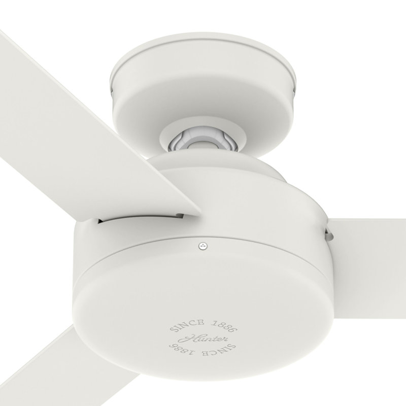 Presto 52" Modern Minimalist 3 - Blade Indoor Ceiling Fan with Wall Control, White