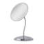 Miroir cygne double vision Luann