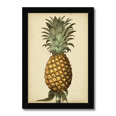 Brookshaw Antique Pineapple I 1 Piece Painting