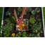 Jardin de compostage en vinyle blanc CLASSIC 4 x 4