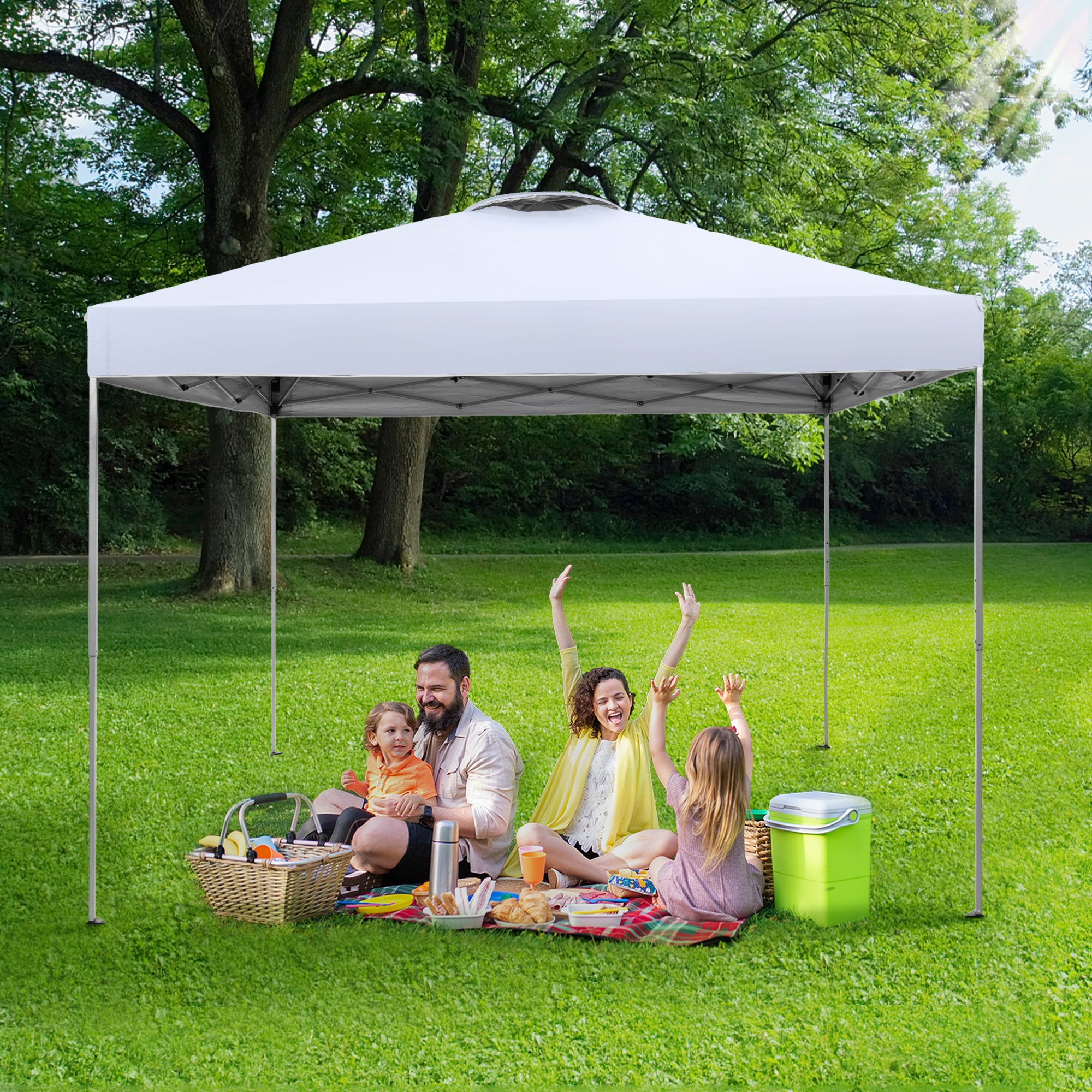 Alphamarts 10 Ft. W x 10 Ft. D Metal Pop-Up Canopy | Wayfair