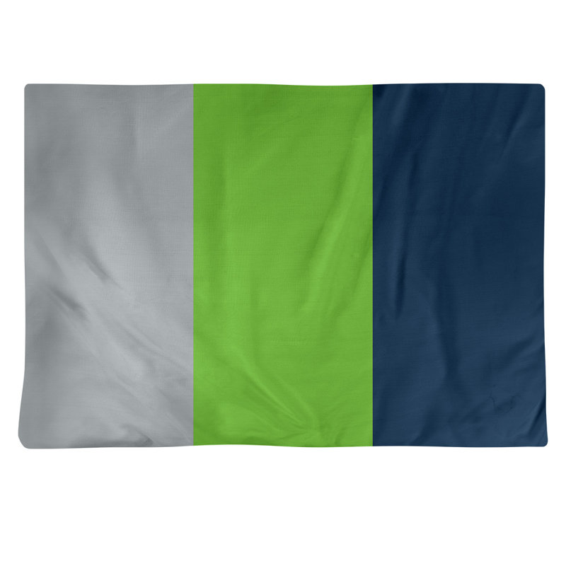 Récapitulatif en coton 18" retour football Seattle, Gris / Vert