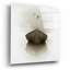 «Time Out 1» par Carlos Casamayor-1535029270