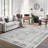 Oriental Machine Washable Rug Non-Slip Area Rug for Living Room Low-Pile Rug Indoor Floor Cover Floral Rug for Bedroom Dining Room Hallway Kitchen Office-1666395806