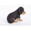 Statue chiot teckel