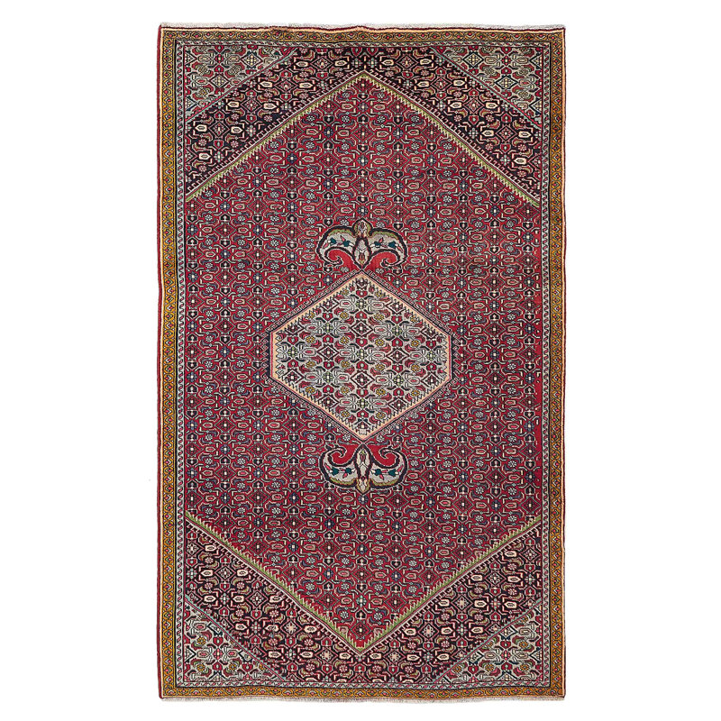 Tapis rouge Anadol 4 pi 11 po x 8 pi 2 po