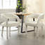Chaises de salle à manger rembourrées modernes avec accoudoirs pour la cuisine / salle à manger / salon-729781008-729781005