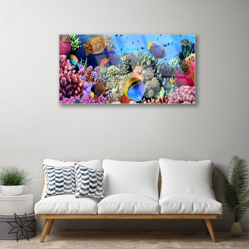 Coral Reef Nature - Unframed Photograph on Glass