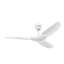 Haiku L Smart LED Downrod Ceiling Fan-1299068514-1299068515