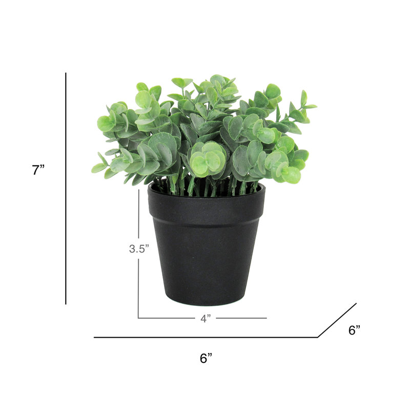 Eucalyptus artificiel 3,5 po en pot, Noir