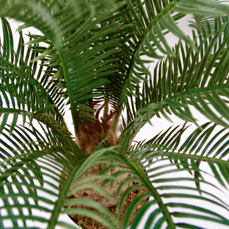 Anlin 60cm Faux Palm Tree in Pot