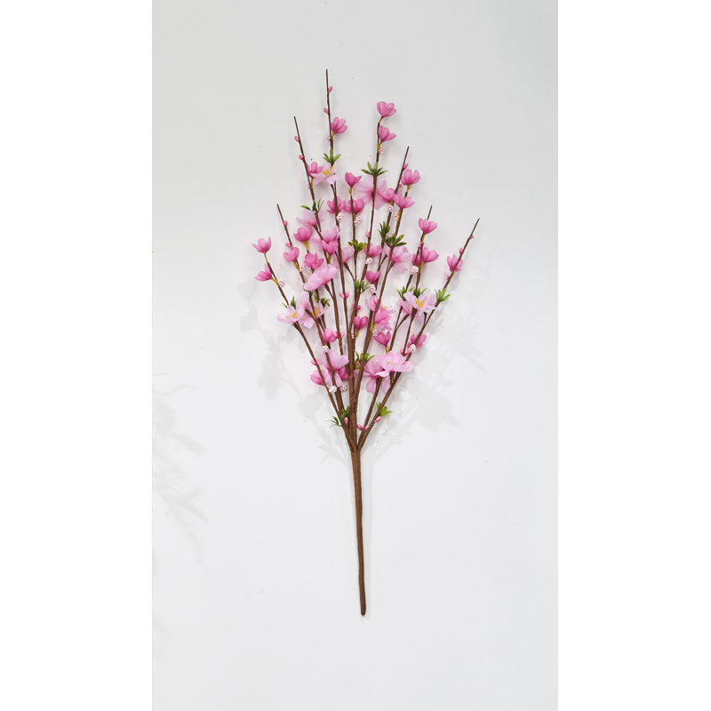Cerisier en fleurs