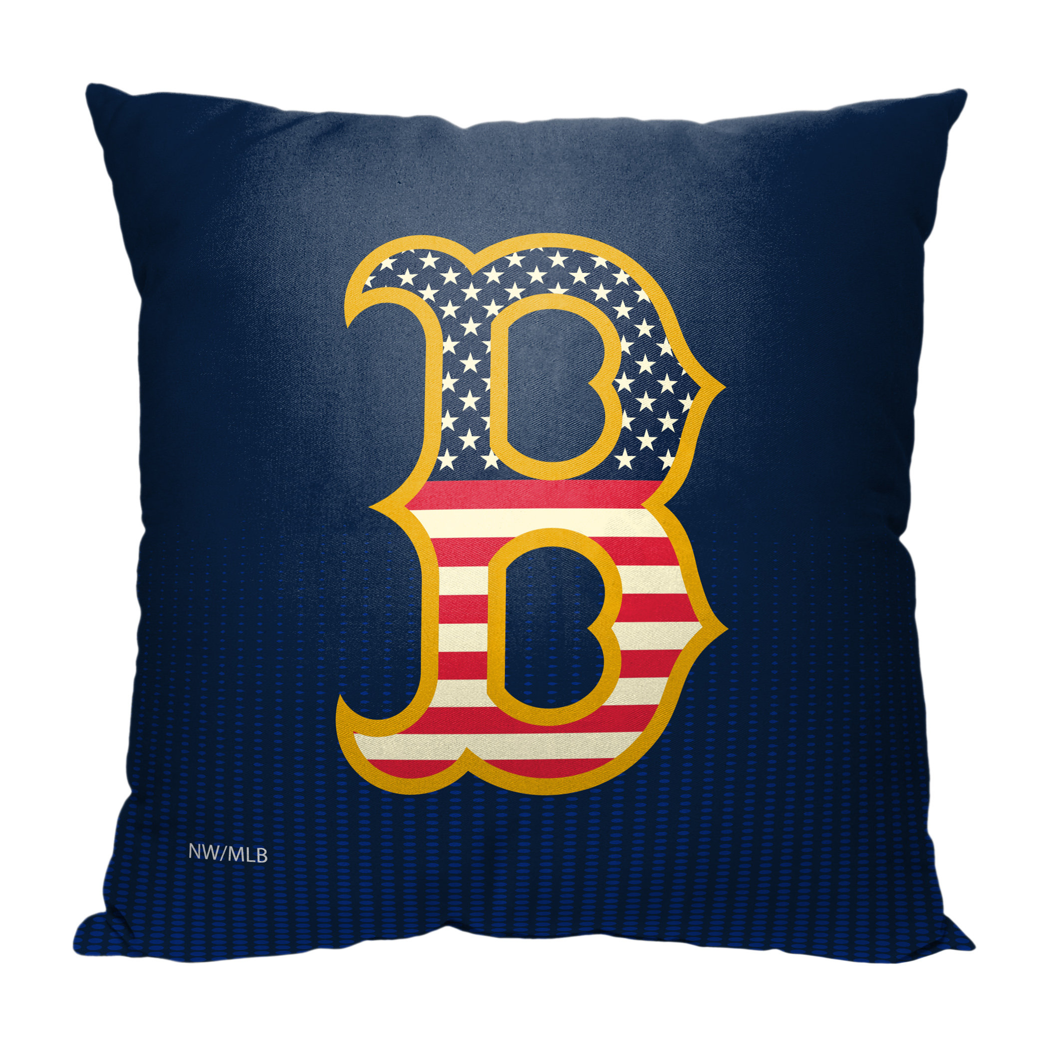 Northwest No Patern Indoor/Outdoor Pillow Cover | Wayfair