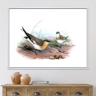 Illustration d'oiseau rétro II - impression sur toile