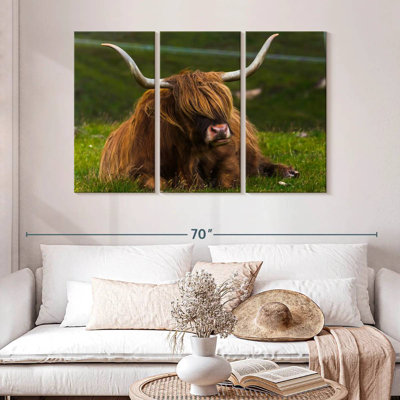 Brampt Highland Cow sur herbe