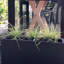 Window Box Planter-36035302-36035306