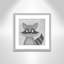 Impression sur papier Cheery Racoon-47841932-47841939