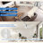  52" Ceiling Fan With Lights, Silver Flush Mount Ceiling Fans With Remote Control, 6 Speeds Dc Reversible, Dimmable, Noiseless, Low Profile Ceiling Fans For Bedroom