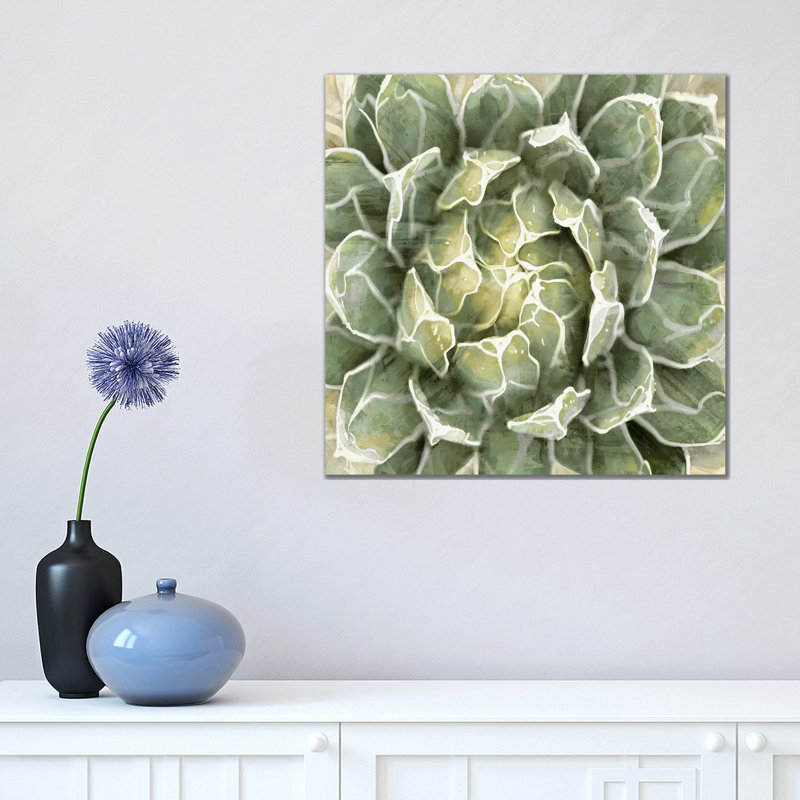 Succulent VII by Lindsay Benson - Wrapped Canvas Painting