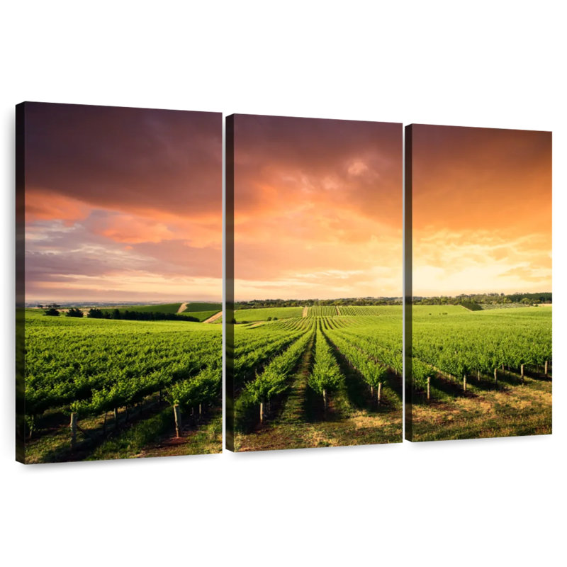 Alvord Vineyard Sunset Horizon, H 28 po x l 45 po