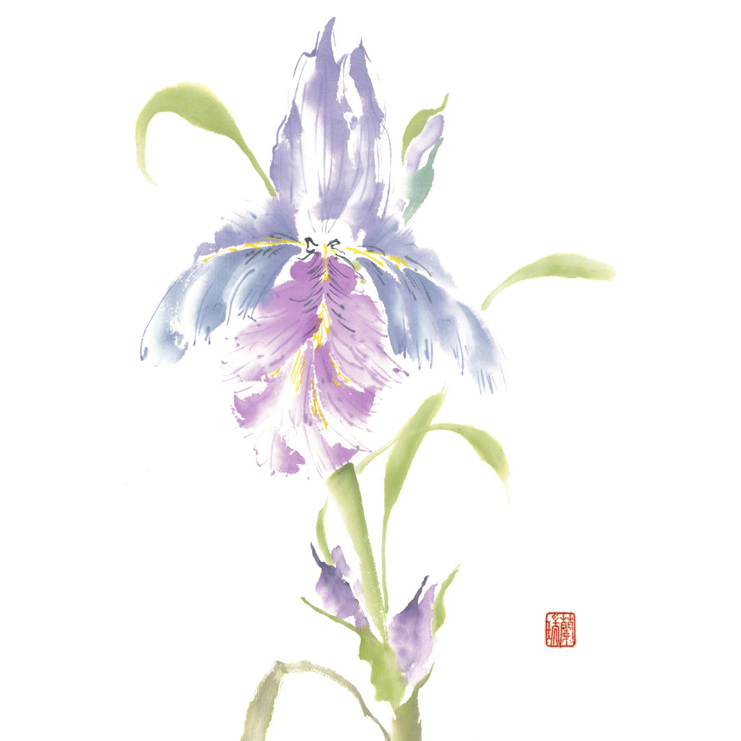 Nature's Grace - No Frame Painting on Canvas