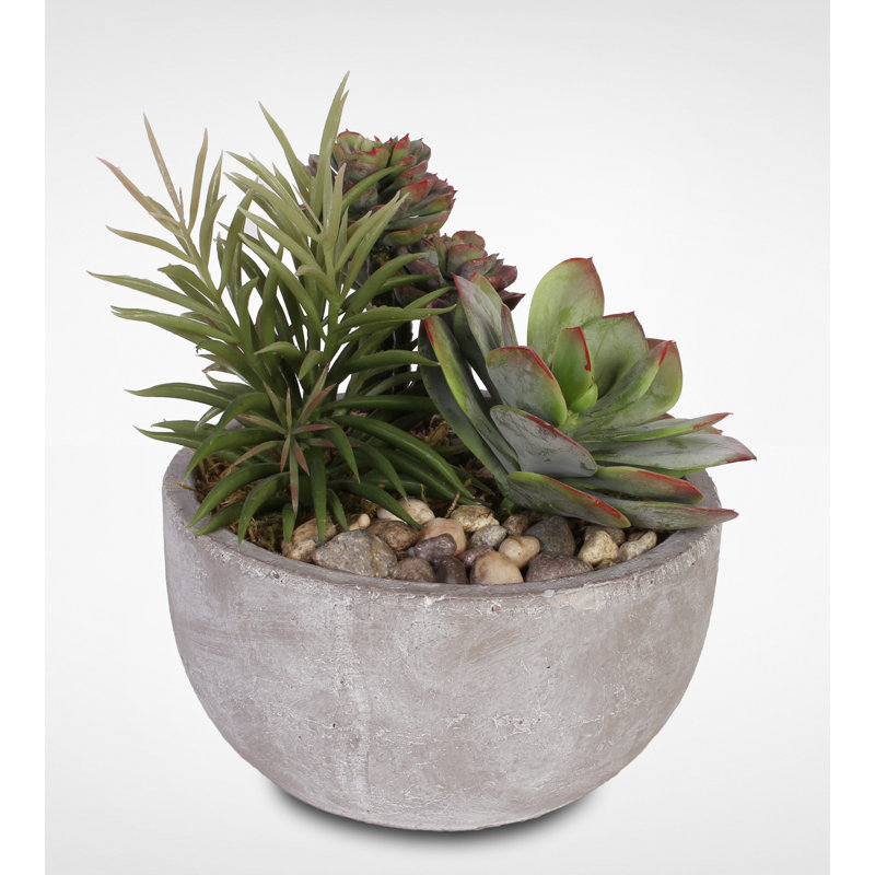Faux Succulent in Stone Pot