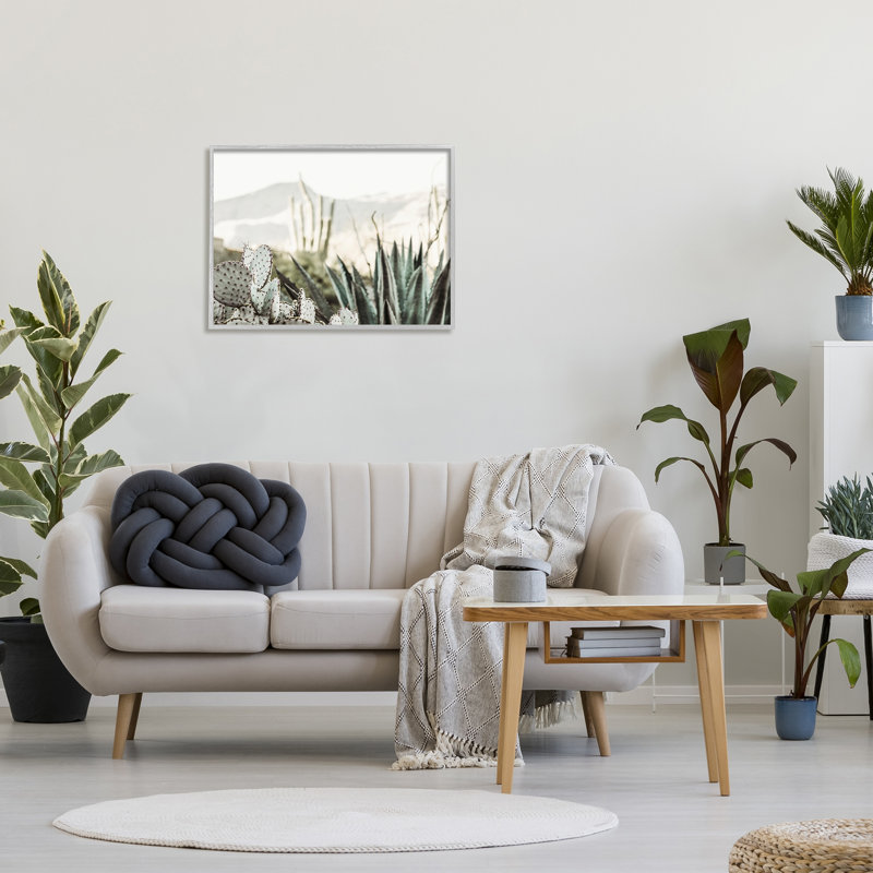 «Desert Cacti», photographie encadrée sur bois par Krista Broadway, Estampe numérique Farmhouse, H 24 po x l 30 po x P 1,5 po